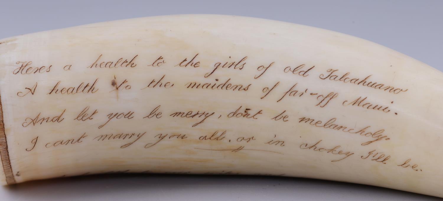 WHALE TOOTH ANTIQUE SCRIMSHAW SIGNED & DATED 1837