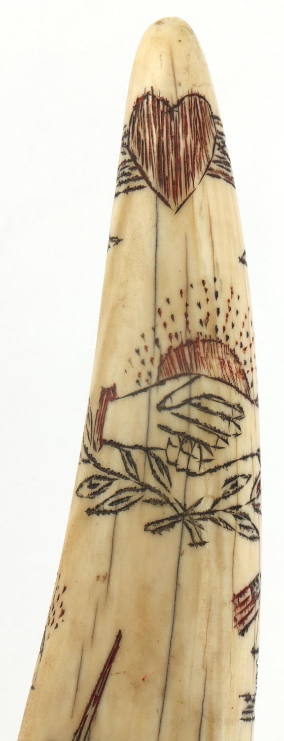 ANTIQUE WALRUS TUSK SCRIMSHAW WITH WHALE STAND
