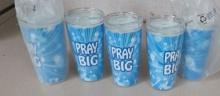 New Clarissa Tumblers, Lot of 5 "Pray Big"