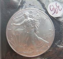 2013- American Eagle Silver Dollar