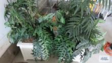 Lot of artificial plants in plastic planters