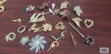 Variety of costume jewelry pins