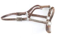 Yearling Show Halter