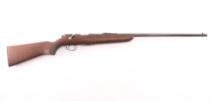 Remington Model 511 22 S/L/LR NVSN