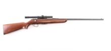 Remington Model 511 22 S/L/LR NVSN