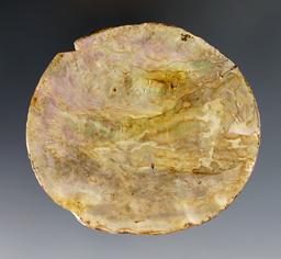Undrilled 3" Abalone Shell Pendant found in Colusa Co., California.