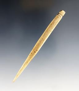 4 3/8" Highly Polished Bone Needle with a suspension groove.  Glovers Cave, Ex. Raymond Vietzen.