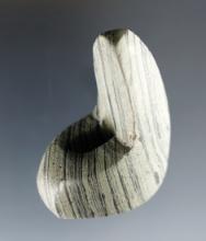 1 15/16" miniature Geniculate Bannerstone found in Union Co., Ohio. Finely made.