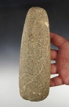 Large 7 7/8" Adze found in Whitley Co., Indiana. Made from Porphyry.