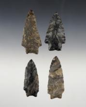 Set of 4 nice Ohio Transitional Paleo points. The largest is 2 13/16".