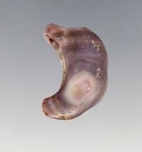 Rare 1" Drilled Eagle Claw Effigy Pendant made from purple Shell. Recovered at the Dann Site