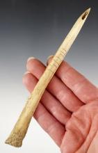 6 5/16" Bird Bone Awl with incised like design. In excellent condition with good use polish.