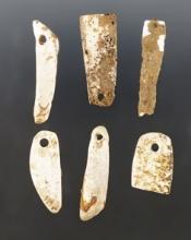 Set of 6 Shell Pendants from the Fox Field Site in Kentucky. The largest is 1 3/4".