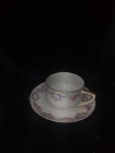 Hand Painted Cup and Saucer-Czechoslovakia