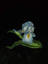Lenox Fine Porcelain Iris