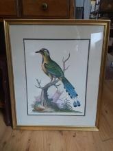 Framed and Matted Print from the Hand Colored Engraving-