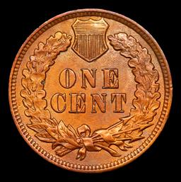 1902 Indian Cent 1c Grades GEM Unc RB