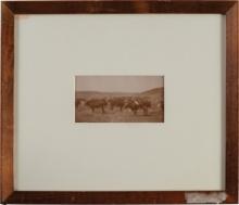 Framed Print of L.A. Huffman's "The Mill Iron Rawhide"