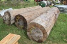 3 BIG PIN LOGS