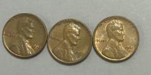 Lincoln Pennies (6 Rolls)