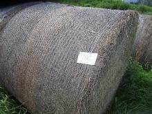 25 Round Bales of 2023 Hay