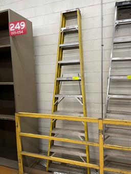 Werner 10' A-Frame ladder