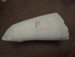 (LR) 2 PC. LOT TO INCLUDE A NOR CARVED SCRIMSHAW DEPICTING A SAILING SHIP, MARKED ON THE BACK "NOR"