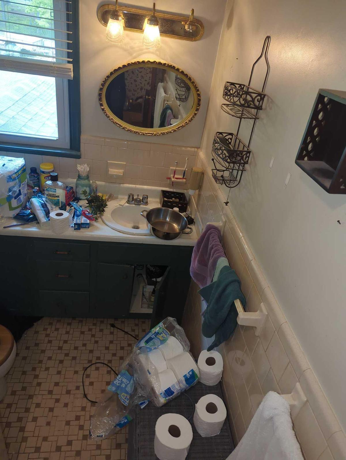 (BATHHALL) CONTENTS OF BATHROOM TO INCLUDE, PAPER TOWELS, TOILET PAPER, TOOTHPASTE, WALL HANGING