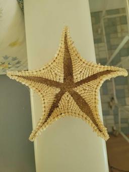 Starfish $1 STS