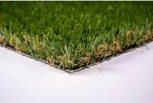 Lifeproof with Petproof Technology Premium Pet Turf 6 ft. x 7.5 ft. Green Artificial Grass Rug,