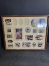 Vintage photos of a horse $5 STS
