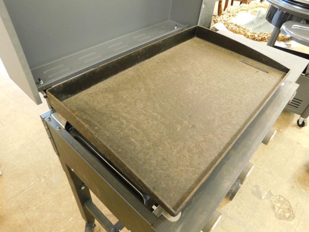 Expert Grill - Griddle - Unused