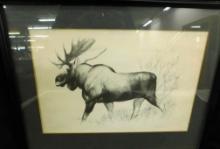 1967 W.D. Berry - Signed Pencil Sketch - Moose - 14.75" x 19"