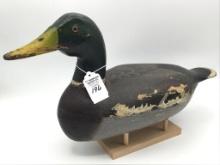 Canvasback Re-painted by Mario Piolotti-