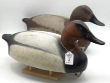 Pair of Canvasbacks