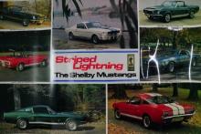 Striped Lightning: The Shelby Mustang Glossy Poster (1965-1969)