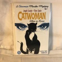 Collector Modern DC Comics Catwoman When In Rome Comic Book No.3