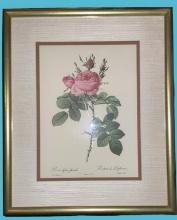 Double Matted and Framed Rose Print by Pierre