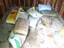 Contents of Shed (BUYER MUST LOAD)