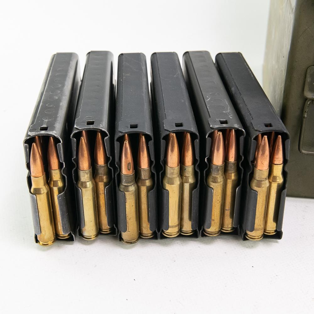 6x Loaded (120rdsx308) M1A Magazines