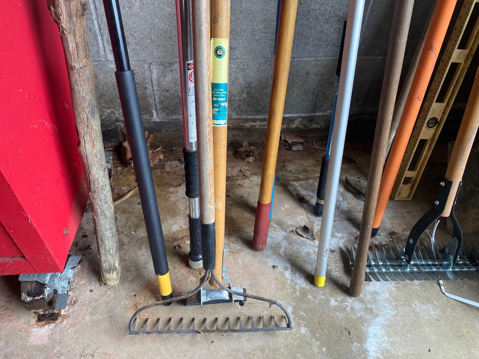 yard tools and brushes