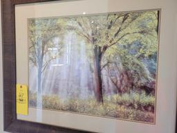 Modern framed sunbeam through the treetops print