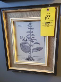 Set of 4 botanical themed antiqued framed prints