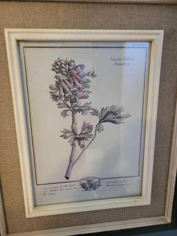 Set of 4 botanical themed antiqued framed prints