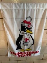 YSU flags and Mount Union picture