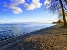 Monroe County, Michigan: Explore the Charms of Lake Erie