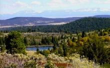 10 Lot Package in Modoc County, California! BIDDING IS PER LOT!