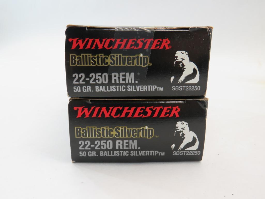 (123) .22-250 Cartridges