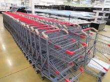 NEW 2-DECK SHOPPING CARTS