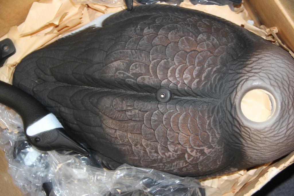 10 New Hollow Body Canadian Goose Decoys